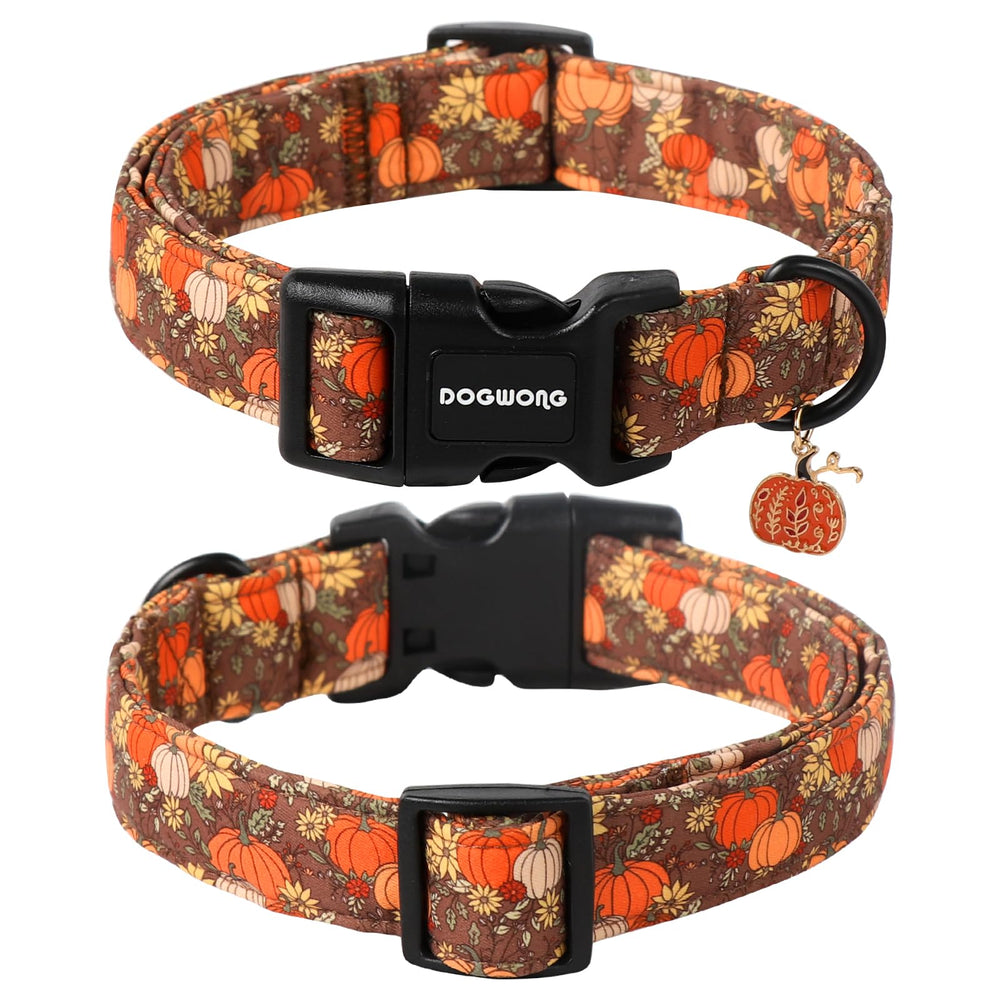 DOGWONG gros plan motif citrouille et tournesol, design saisonnier attrayant
