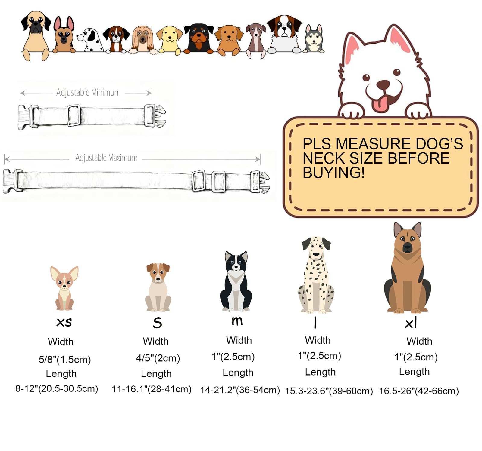 DOGWONG collier rose sur chienne posant pour photo stylée et soignée