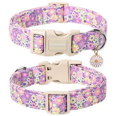 Dogwong collier zoom matière coton haute densité pour douceur