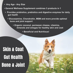 Dogzymes Complete saupoudré sur croquettes, bénéfice absorption améliorée