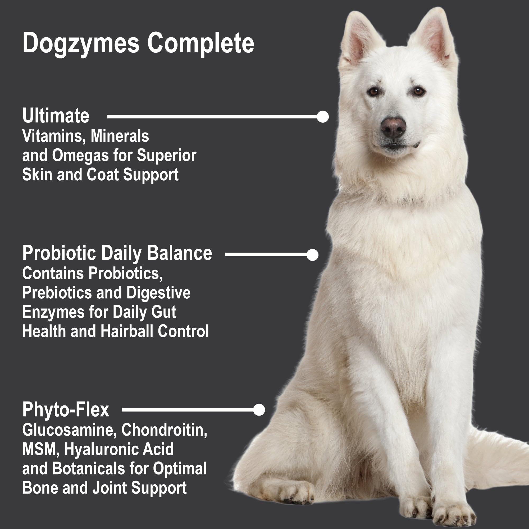Zoom sur ingrédients Dogzymes Complete montrant probiotiques et nutriments
