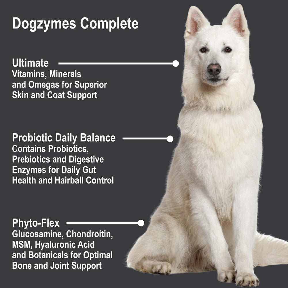 Zoom sur ingrédients Dogzymes Complete montrant probiotiques et nutriments