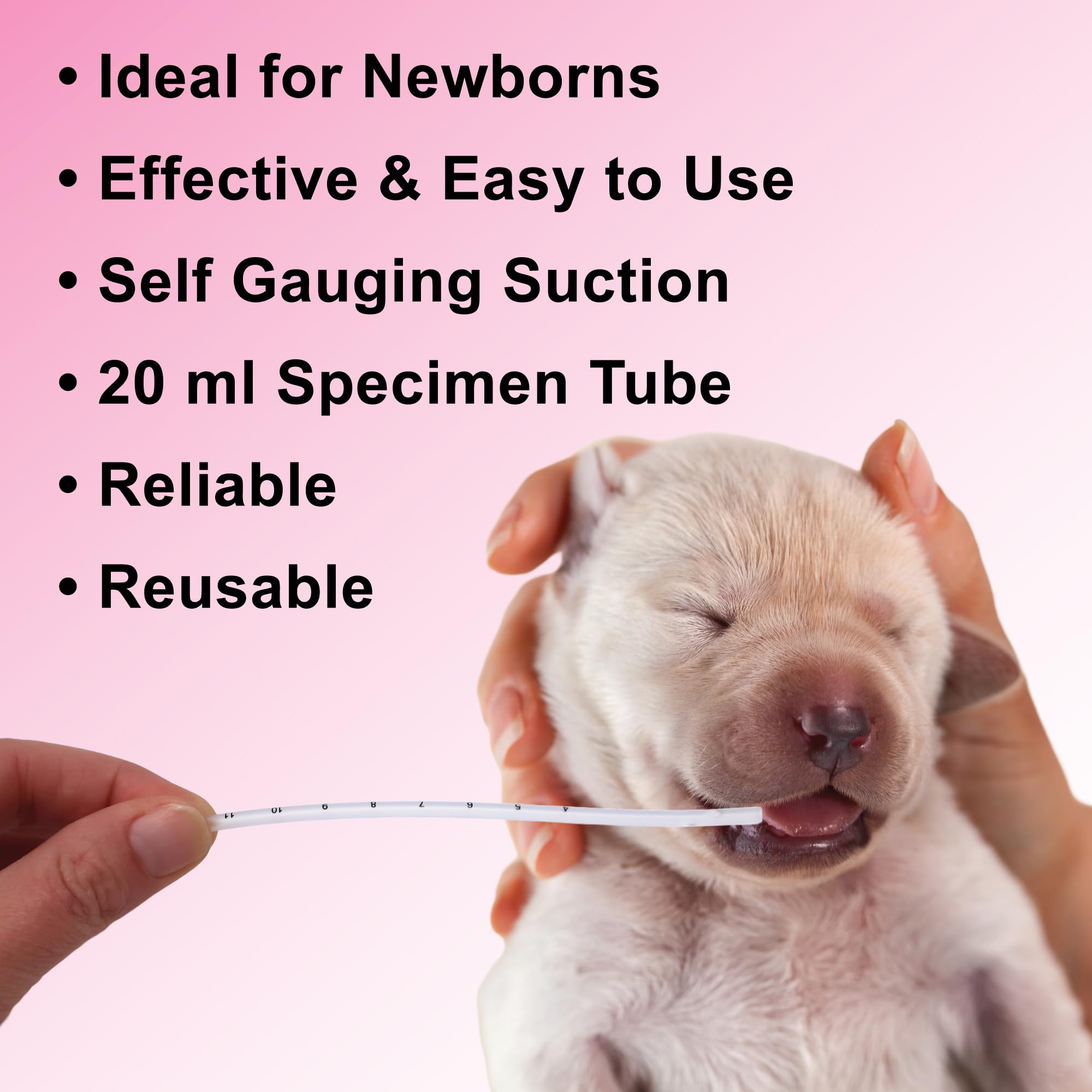 Dogzymes Delee utilisé sur peluche pour démontrer taille et maniabilité