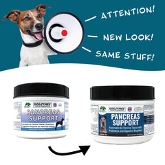 Cuillère doseuse Dogzymes illustrant dosage ajustable pour chiens