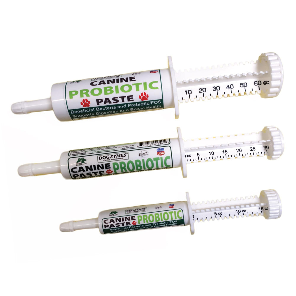 Dogzymes pâte appliquée sur une friandise pour appétence et administration simple