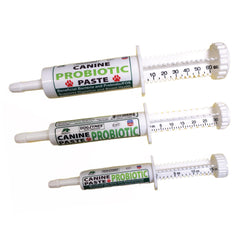 Dogzymes pâte appliquée sur une friandise pour appétence et administration simple
