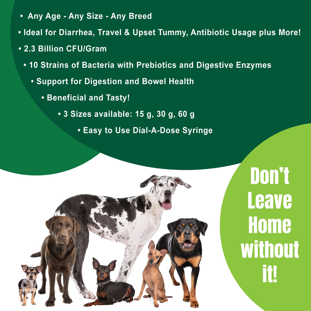 Dogzymes étiquette ingrédients biologiques et concentration 2,3 milliards CFU/g