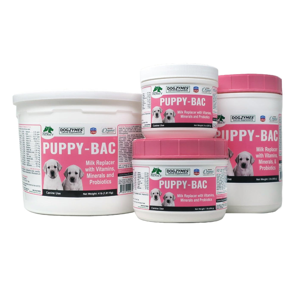 Dogzymes Puppy-Bac poudre gros plan montrant texture fine et mélange facile