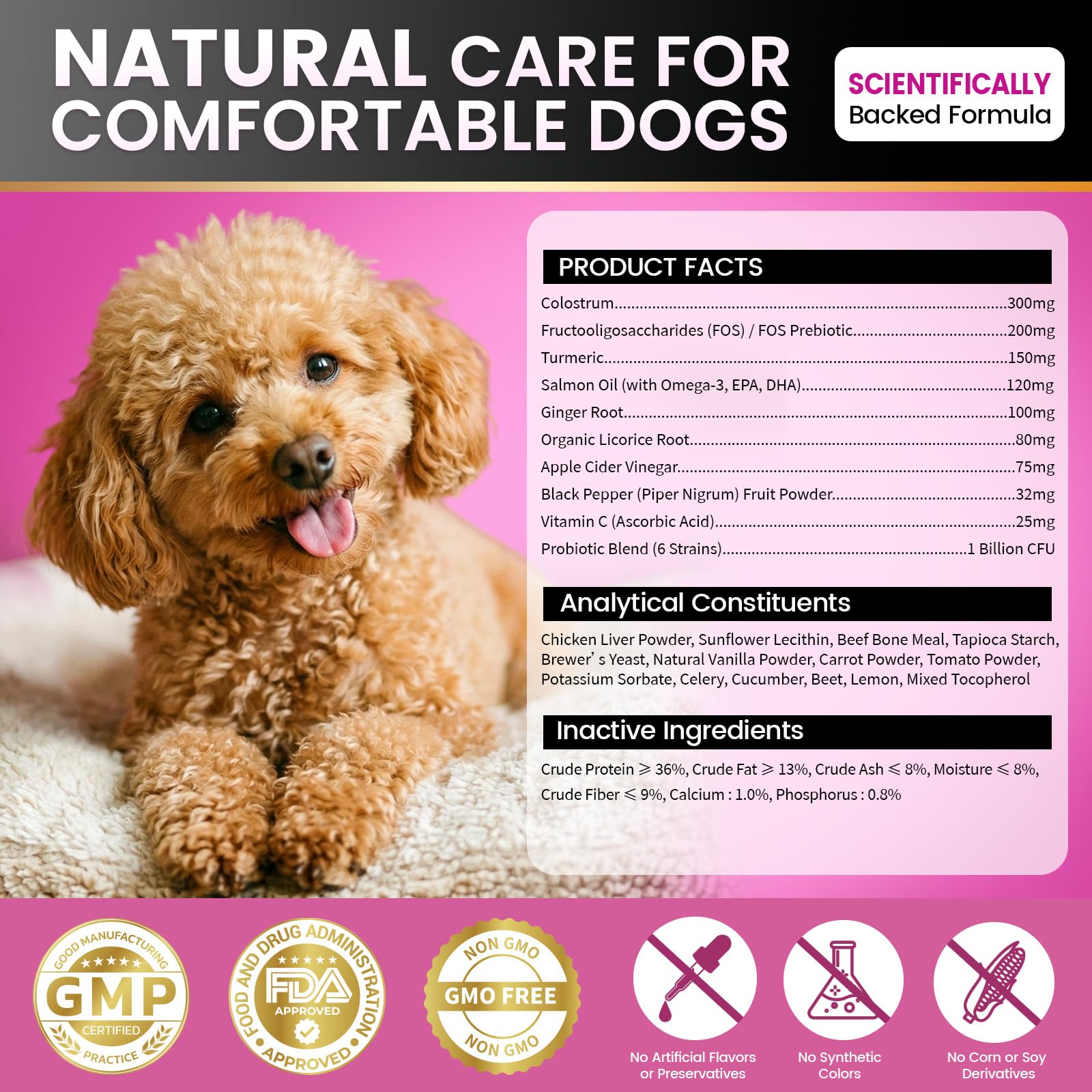 Dolean ambiance maison chien détendu après supplémentation