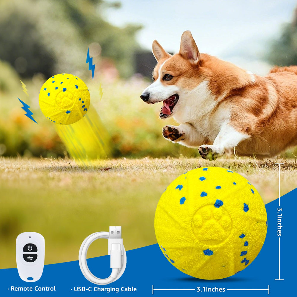 Dolita scène lifestyle chien jouant au salon apportant stimulation et divertissement