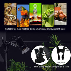 DOMICA clip rotatif monté sur terrarium offrant ajustement précis