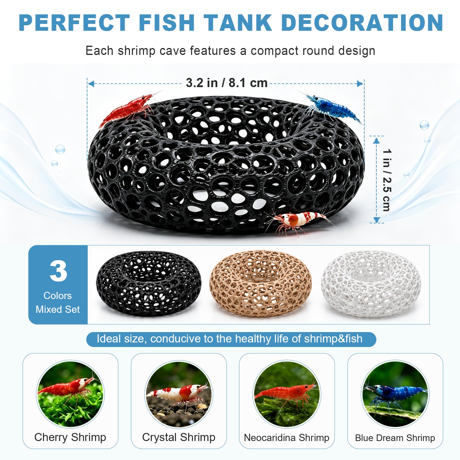 Dommsinon dans bac nano avec crevette en vue, idéal pour petits aquariums 2,5 gallons