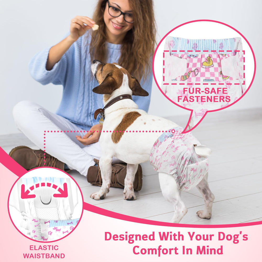 Chienne portant Dono en mouvement montrant confort et protection
