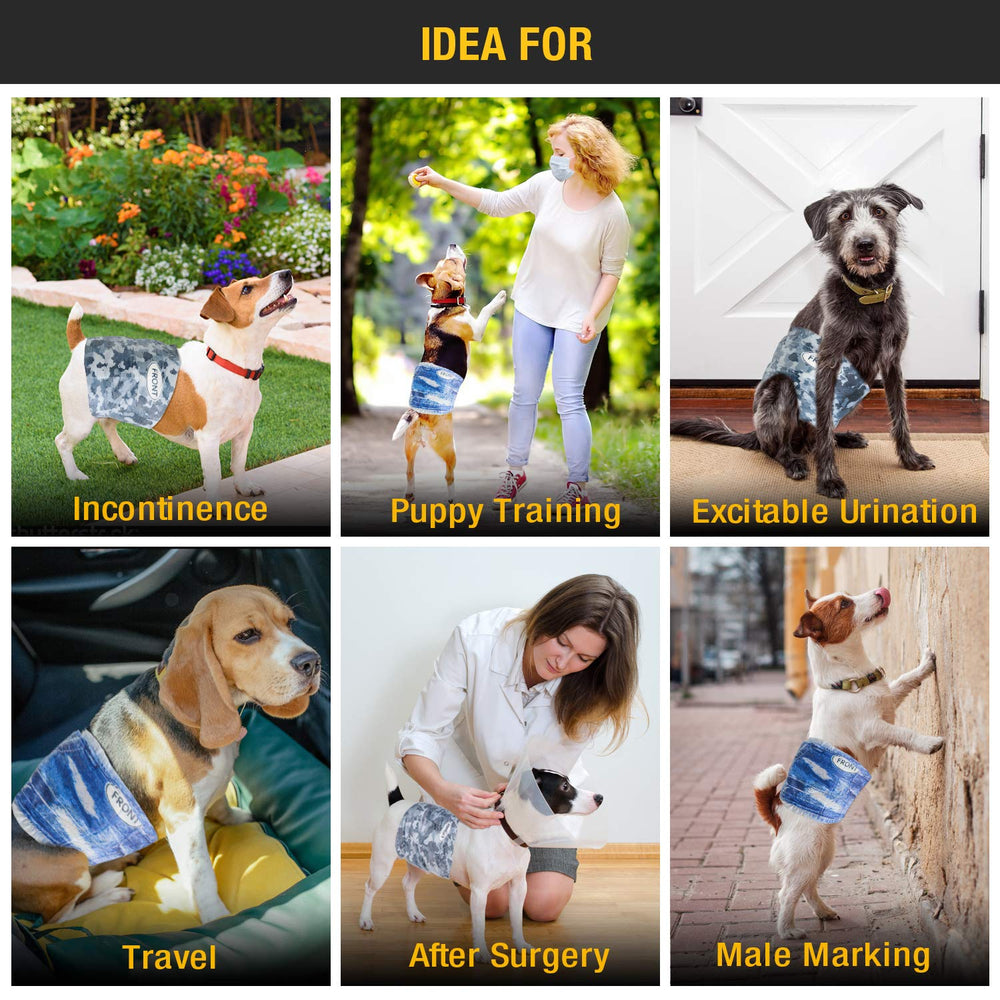 Dono comparatif taille et échelle illustrant l'ajustement pour chiens taille L