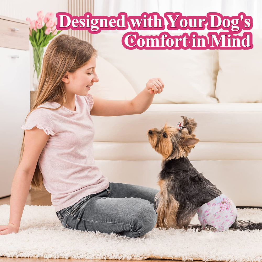 Dono comparaison taille montrant ajustement pour petits chiens