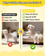 Dono ceinture élastique 360° serrée offrant maintien et confort