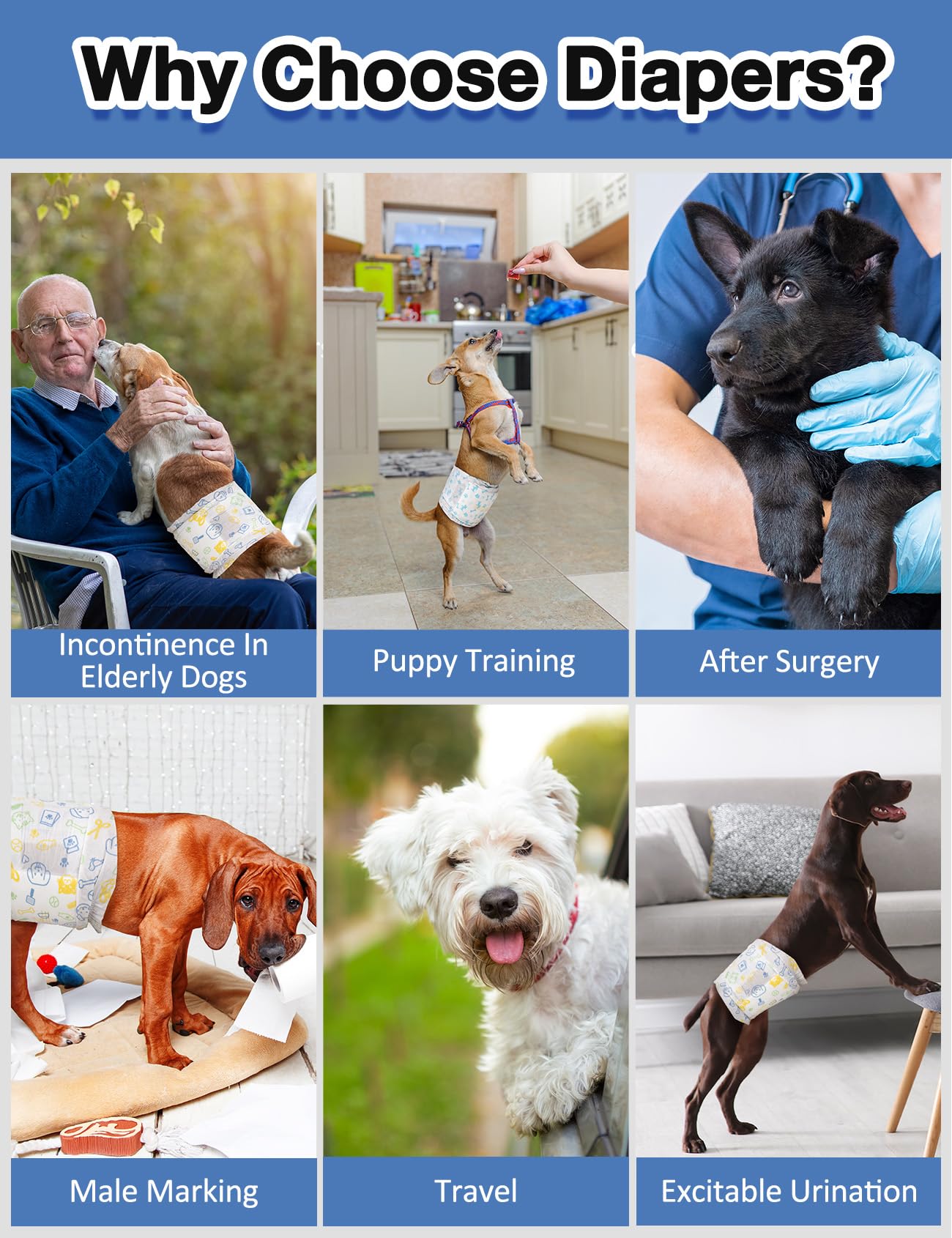 Dono emballage ouverte contenu exposant couches individuelles et étiquettes