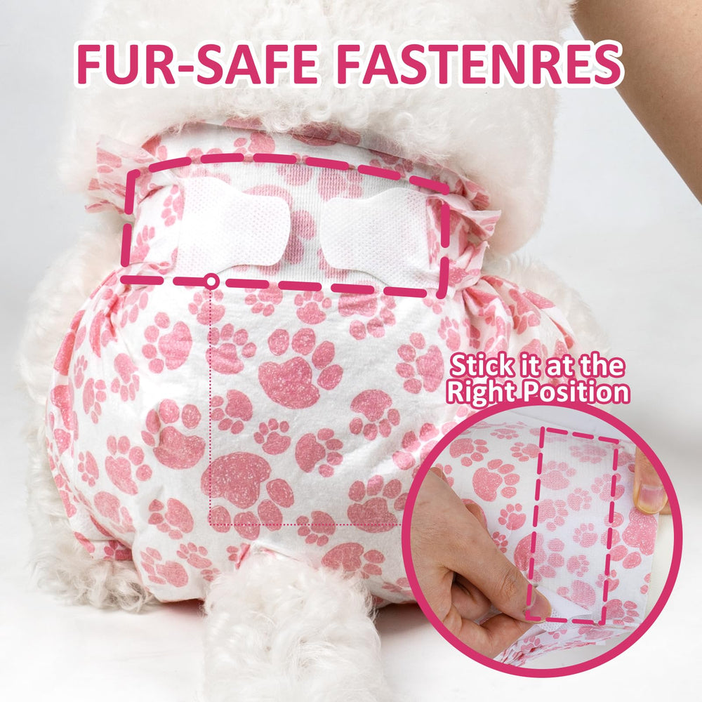Dono culotte en usage sur un chiot actif, garde au sec et protège la maison