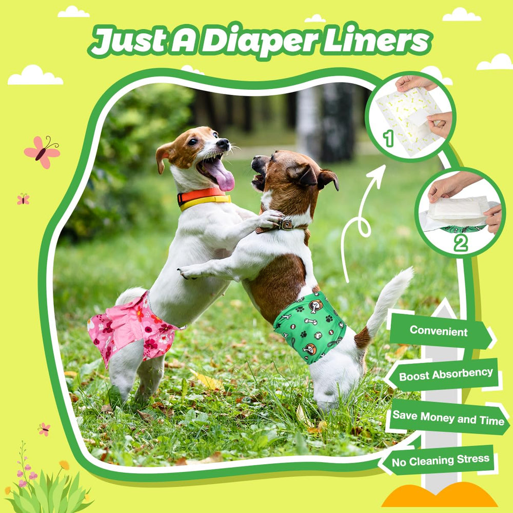 Chienne portant culotte avec insert Dono illustrant protection pendant les chaleurs