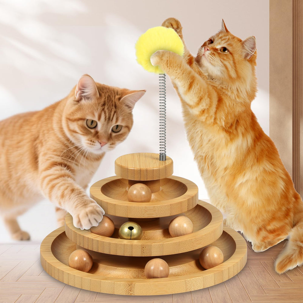 DoogCat vue sur les trois pistes empilées montrant profondeur de jeu