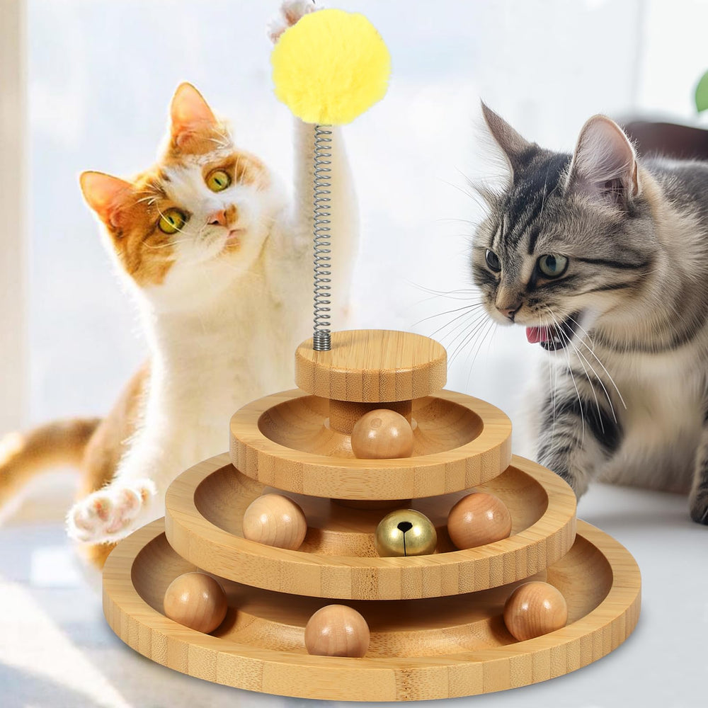 DoogCat tour devant la boîte montrant design compact et prêt à jouer