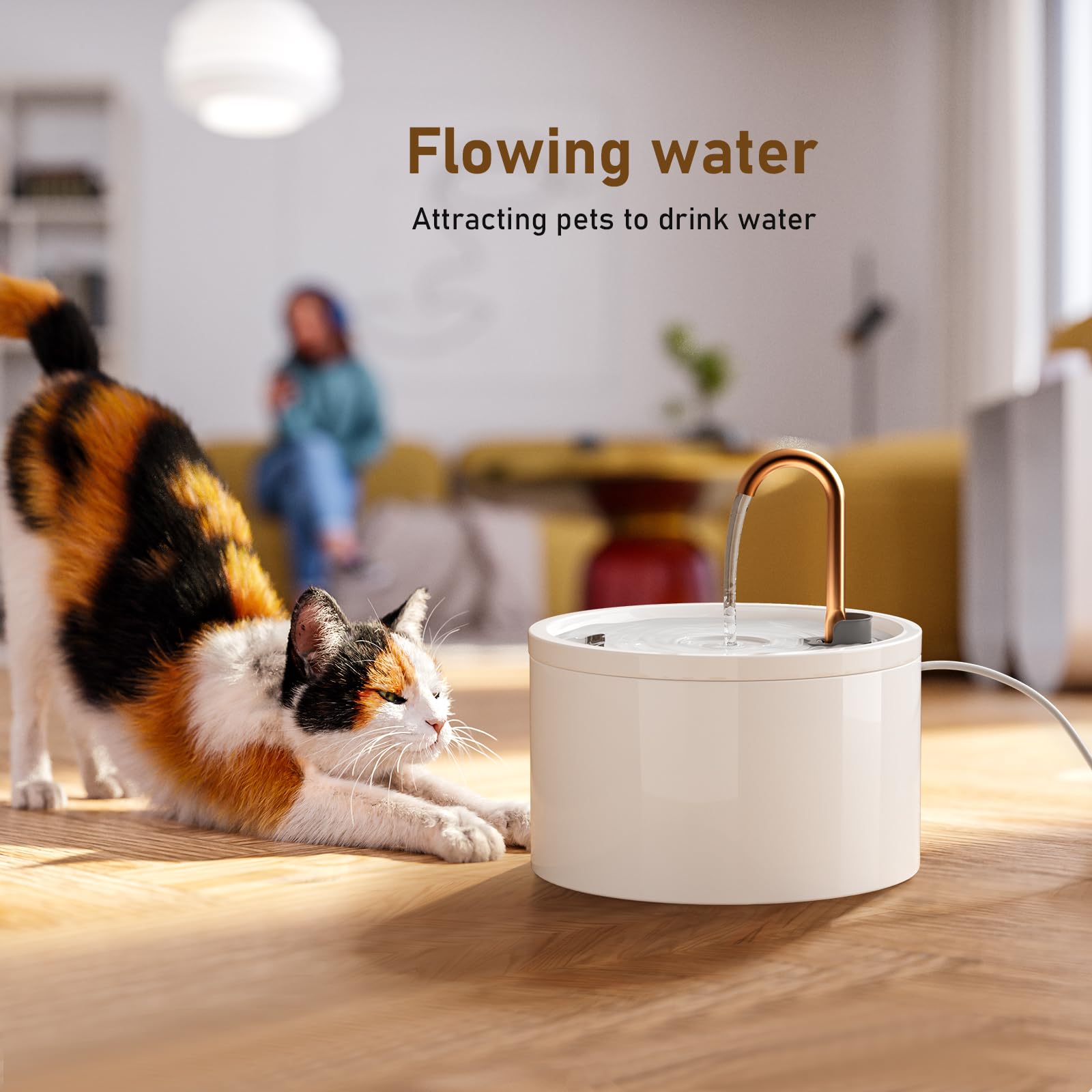 DOOOB fontaine en cuisine avec chat buvant pour meilleure hydratation