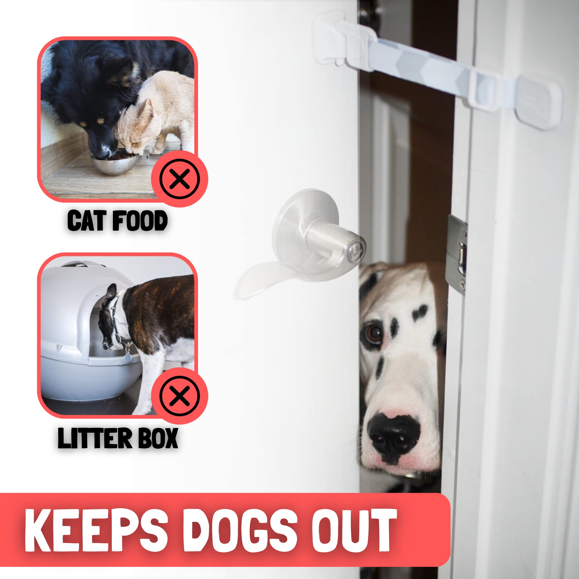 Door Buddy fixé sur porte entrouverte pour chat, protège la litière