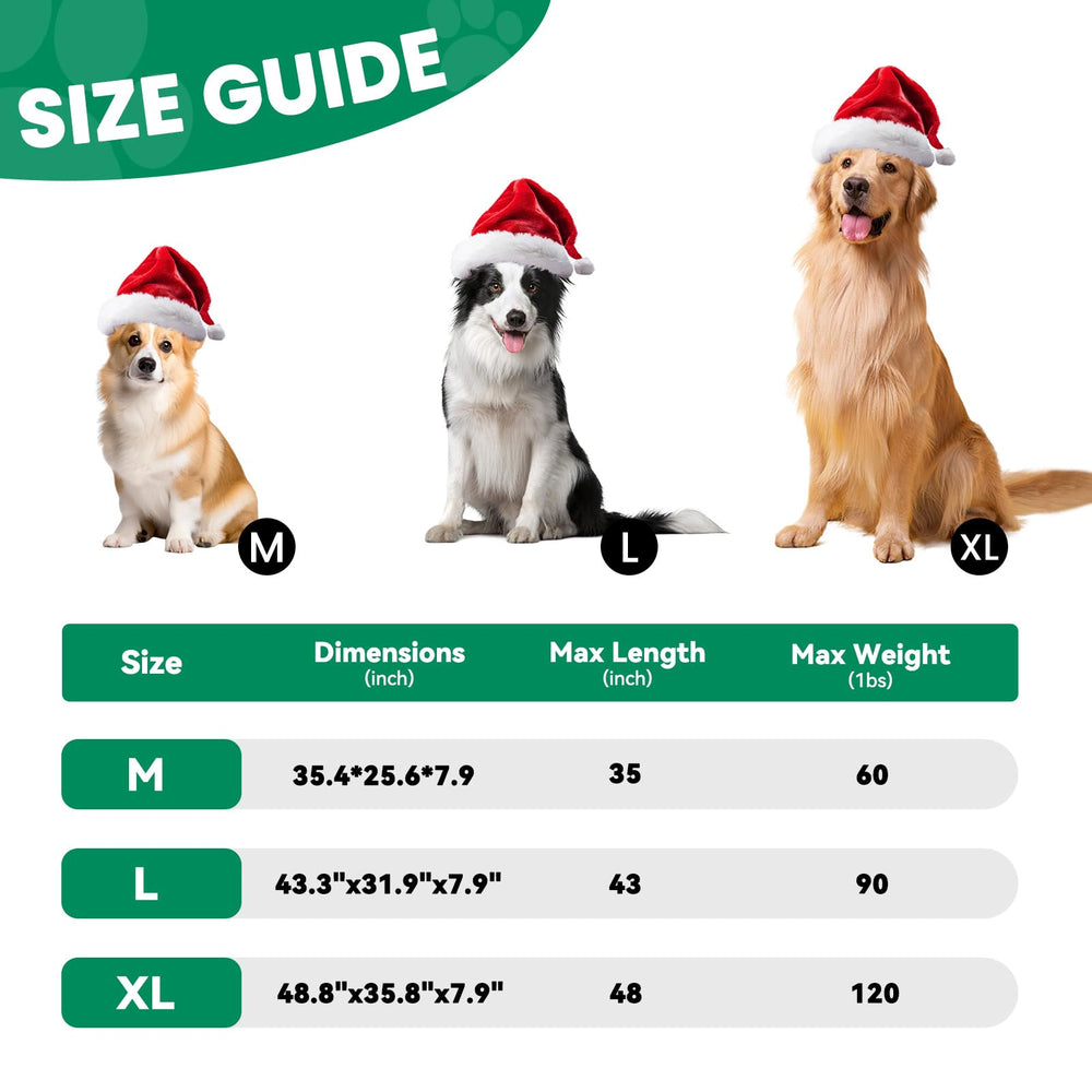 DOPEDIO comparaison taille avec grand chien illustre capacité
