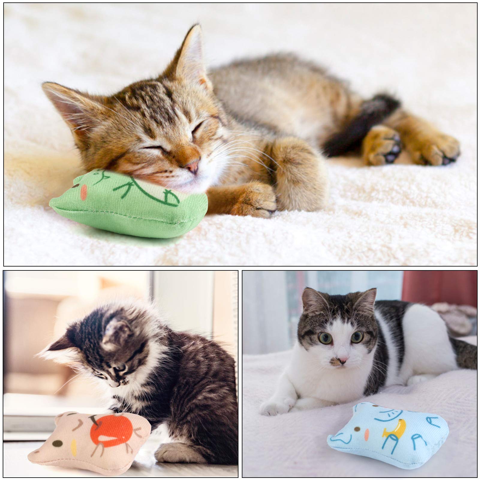 Dorakitten détails des coutures renforcées pour durabilité au mordillement