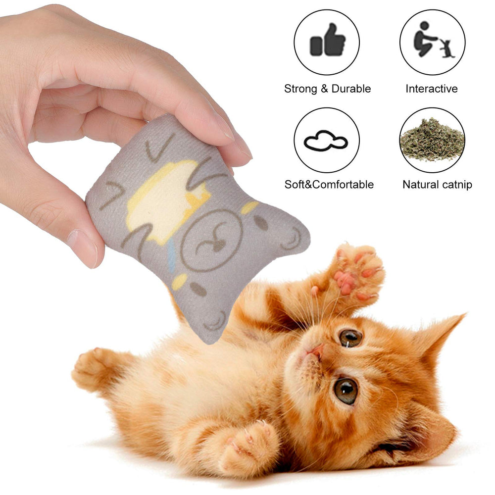 Dorakitten chat jouant avec jouet illustrant stimulation et divertissement