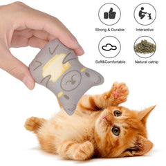 Dorakitten chat jouant avec jouet illustrant stimulation et divertissement
