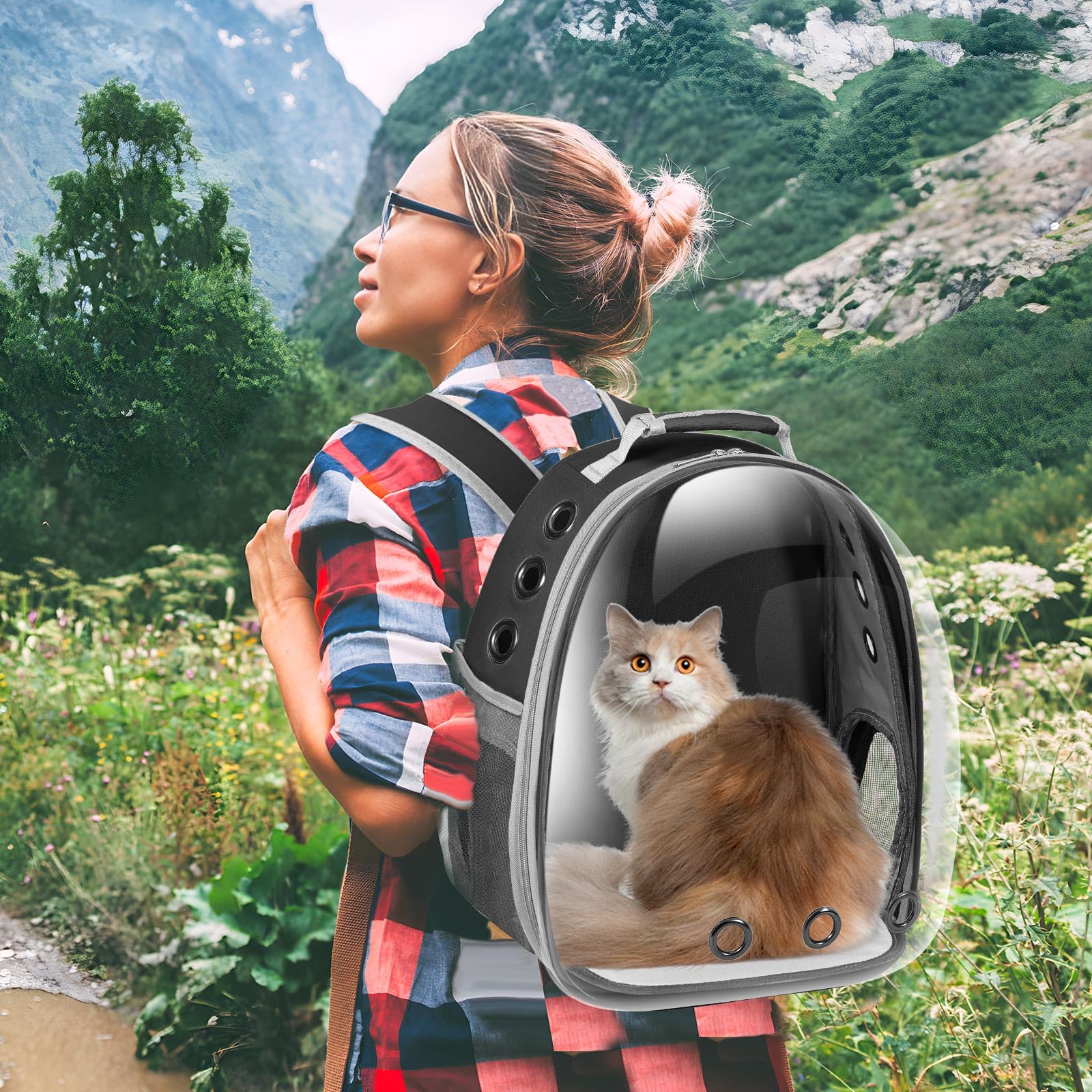 Dorphy comparaison taille montrant adaptation pour chat ou petit chien