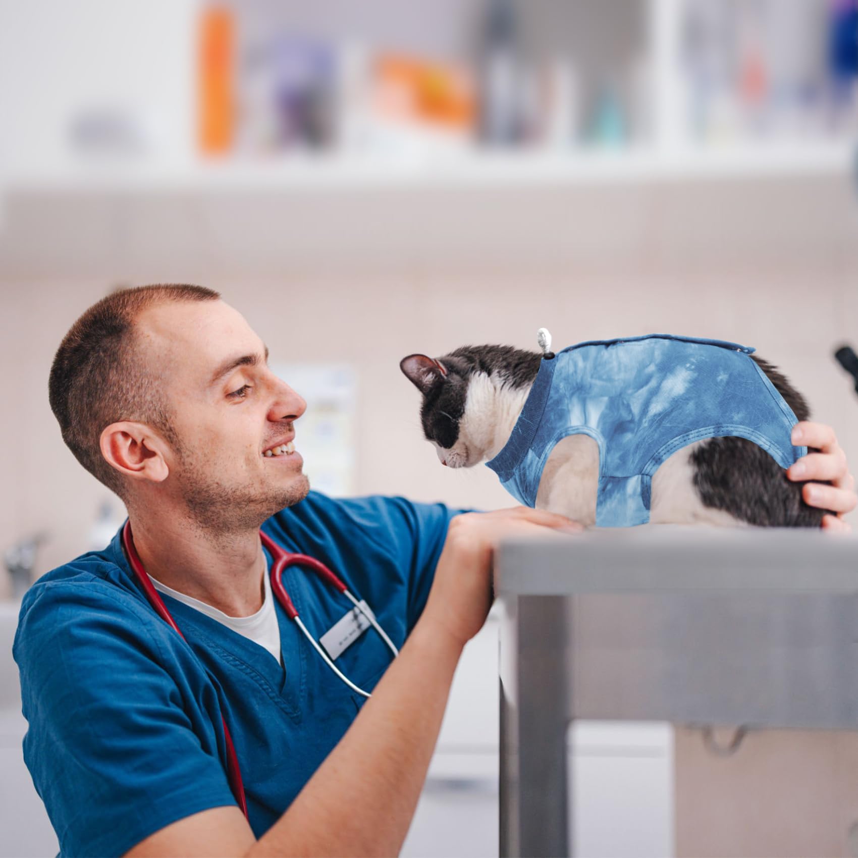 Dotoner chat portant la combinaison post-op, liberté de mouvement préservée