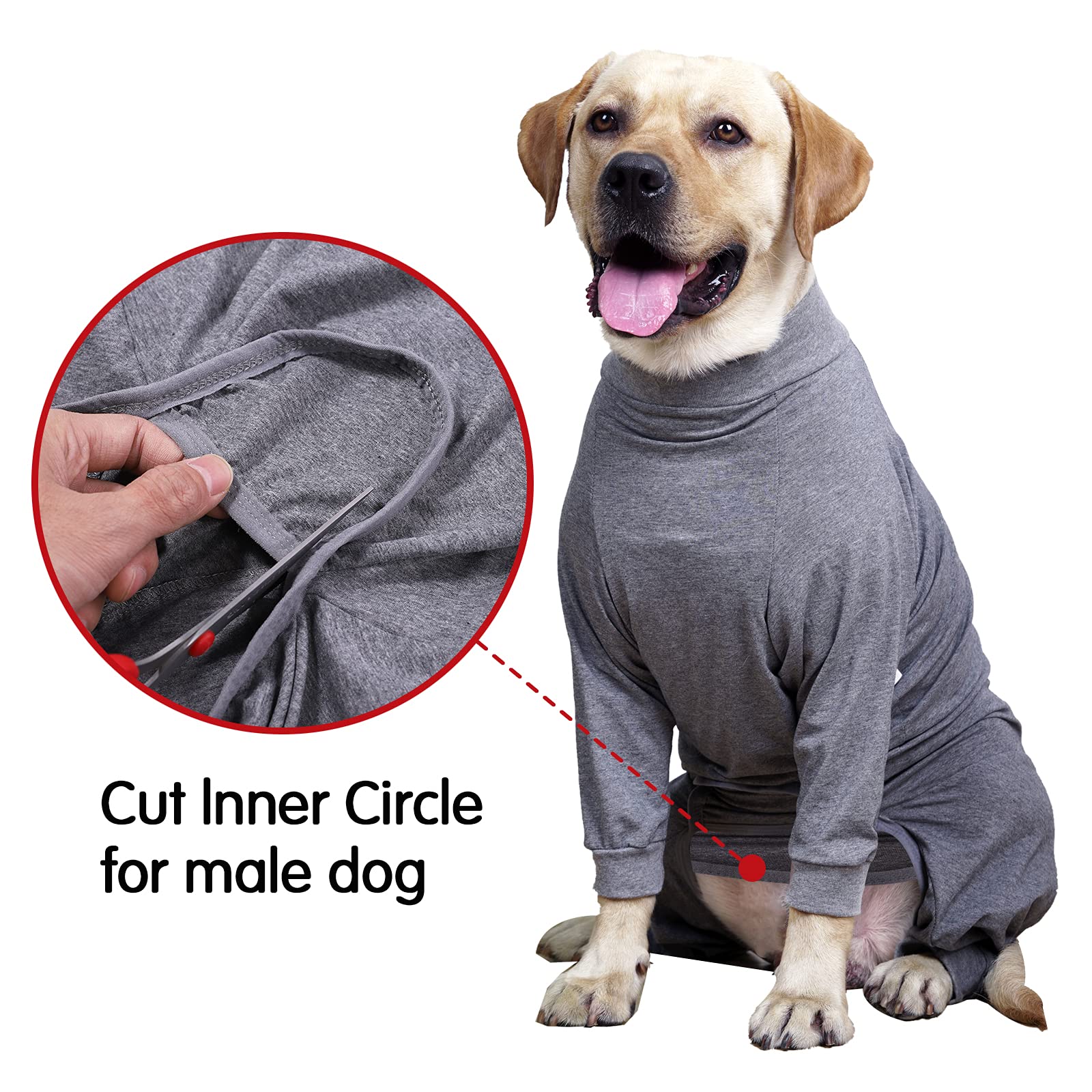 Dotoner chien portant la combinaison à la maison, mobilité et apaisement