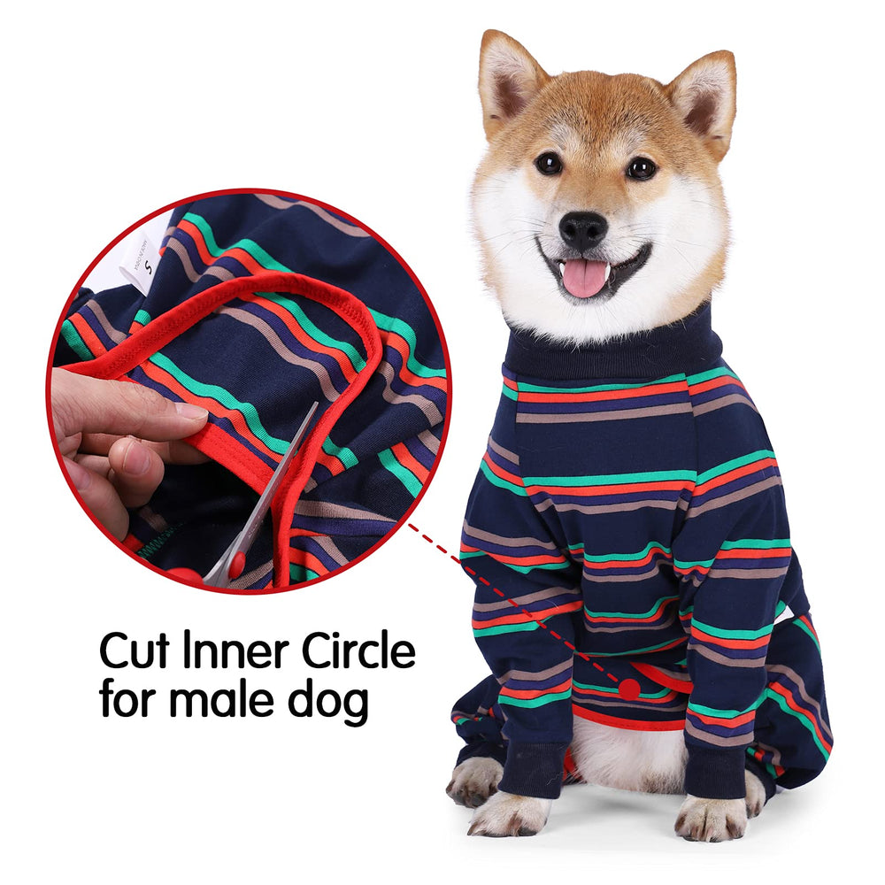 Dotoner chien porte la combinaison en situation post-opératoire pour protection douce