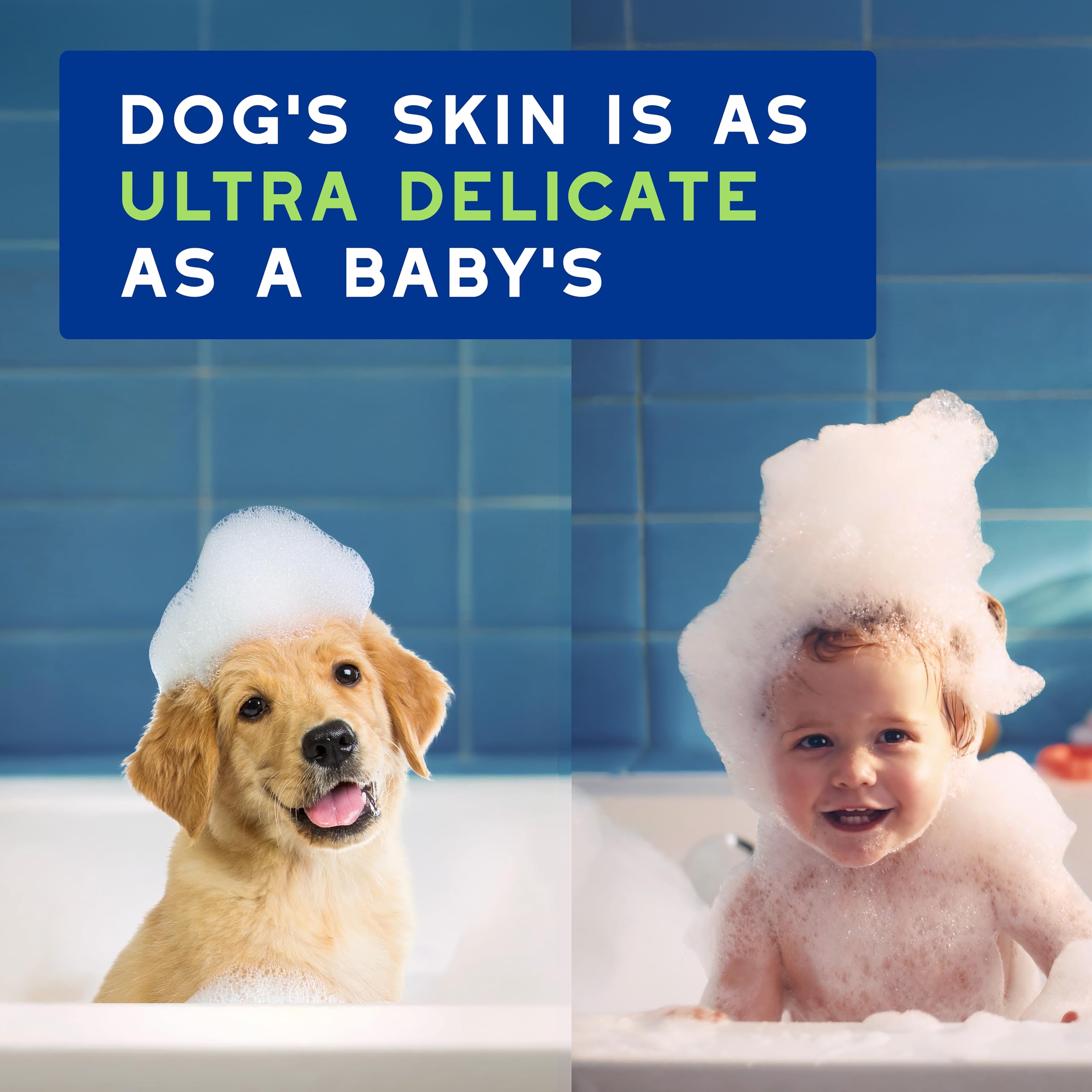 Douxo chiot dans bain utilisant le shampoing pour pelage sain