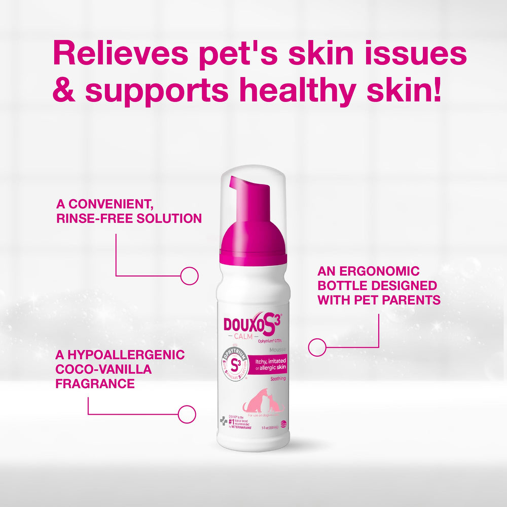 Douxo S3 Calm mousse utilisée sur oreille de chat pour calmer irritation locale