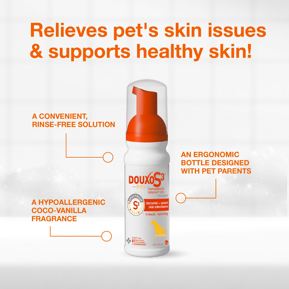 Douxo S3 mousse posée sur le dos du chien pour confort cutané