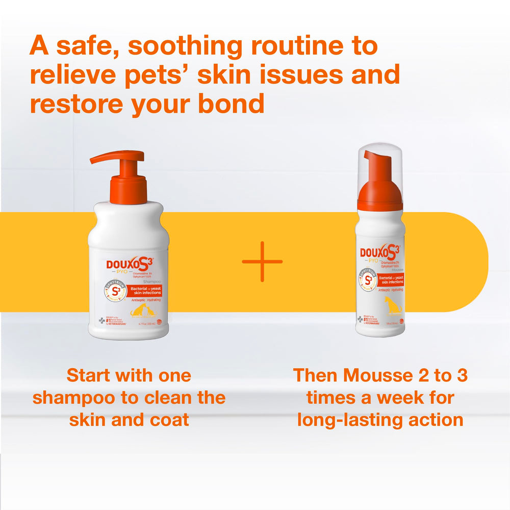 Routine soin Douxo S3 PYO avec mousse et lingettes solution complète
