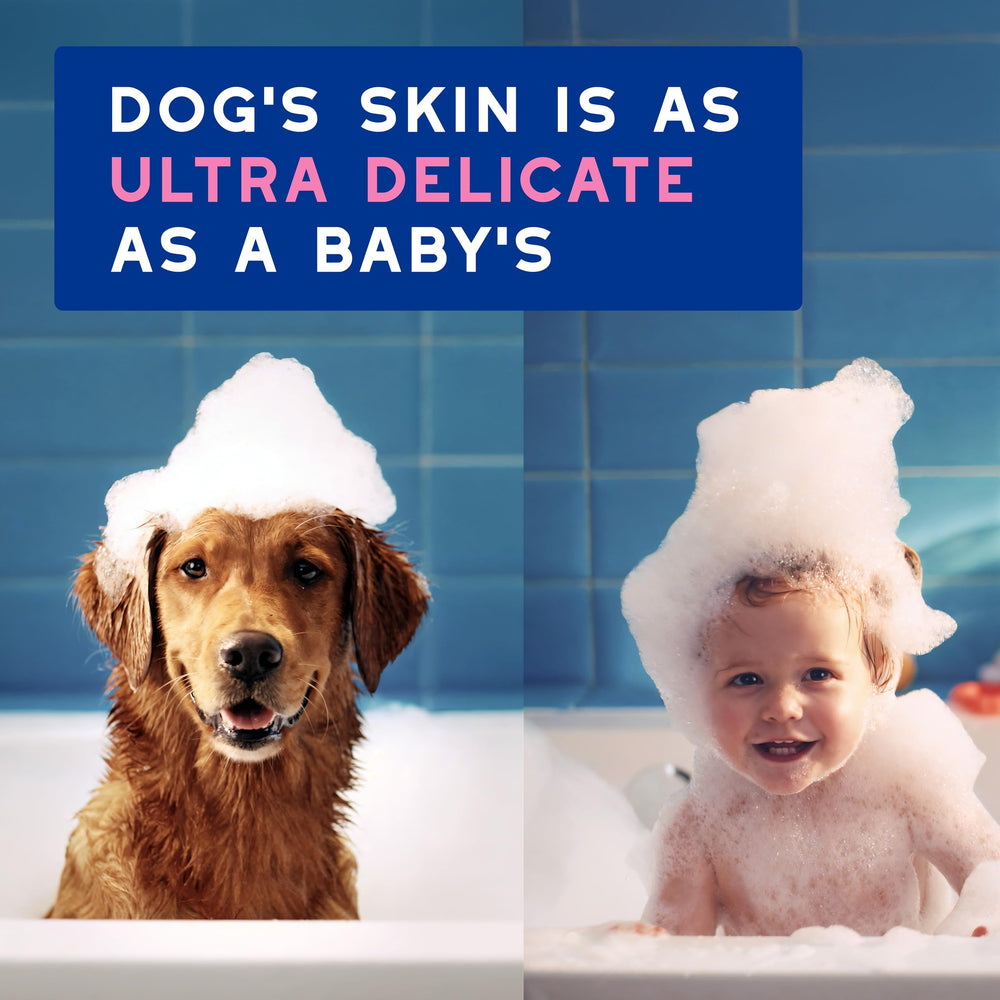 DOUXO chien en bain utilisation facile et nettoyage respectueux