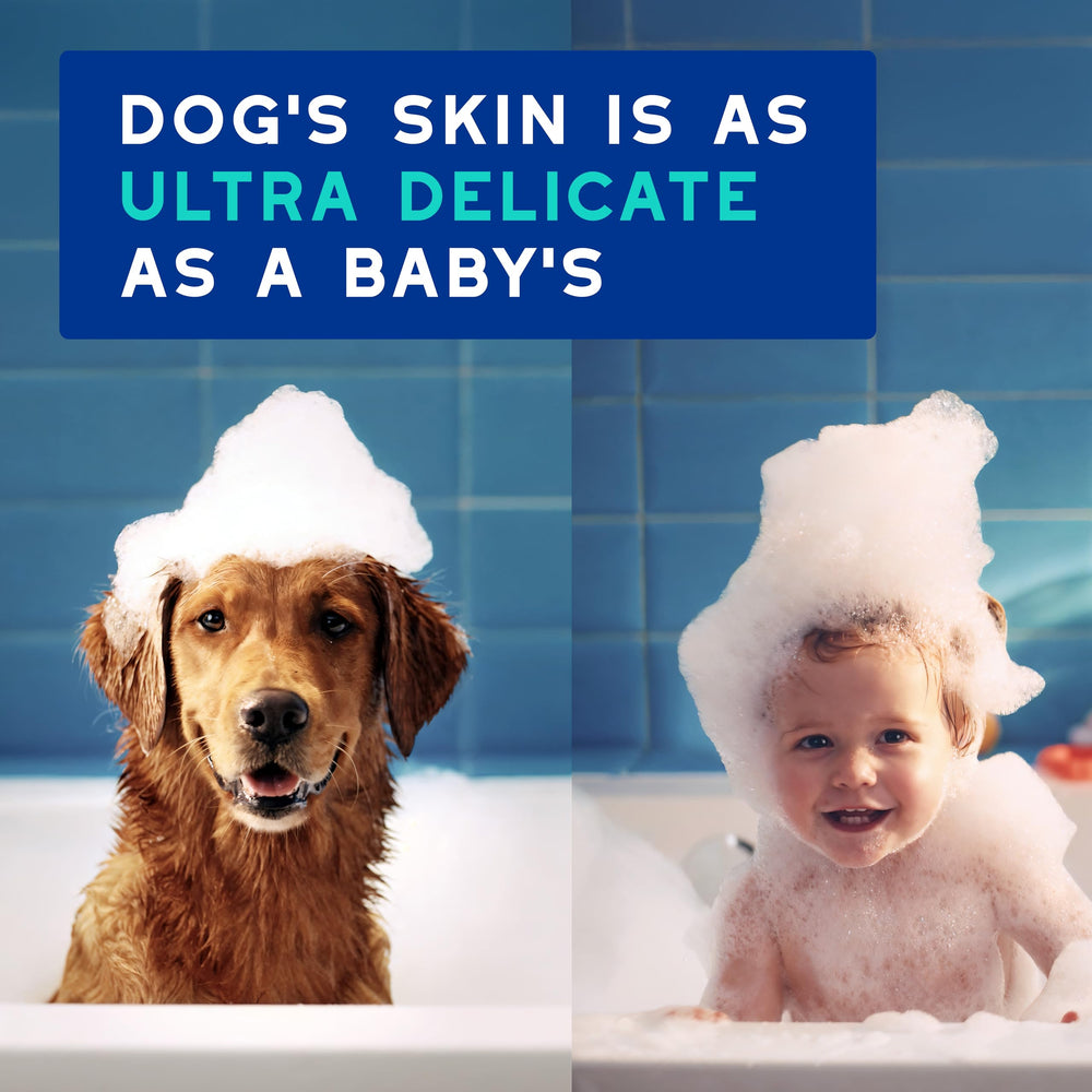 Douxo SPA chien sous la douche démontrant facilité d'utilisation