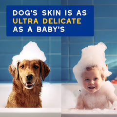 DOUXO chien en bain recevant massage pour nettoyage respectueux