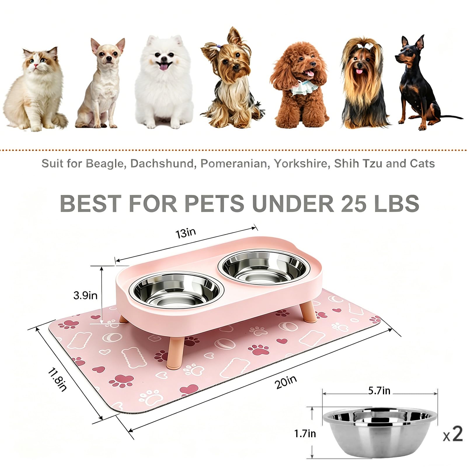 Dovcleing gamelle utilisée par un petit chien, repas confortable et stable