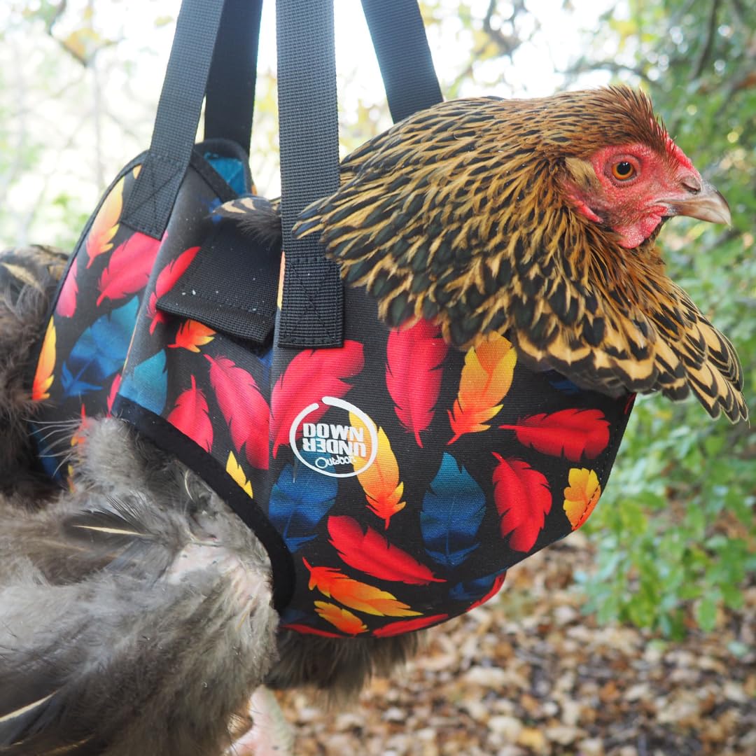 DOWN UNDER OUTDOORS poule dans l'élingue utilisation aisée et stable