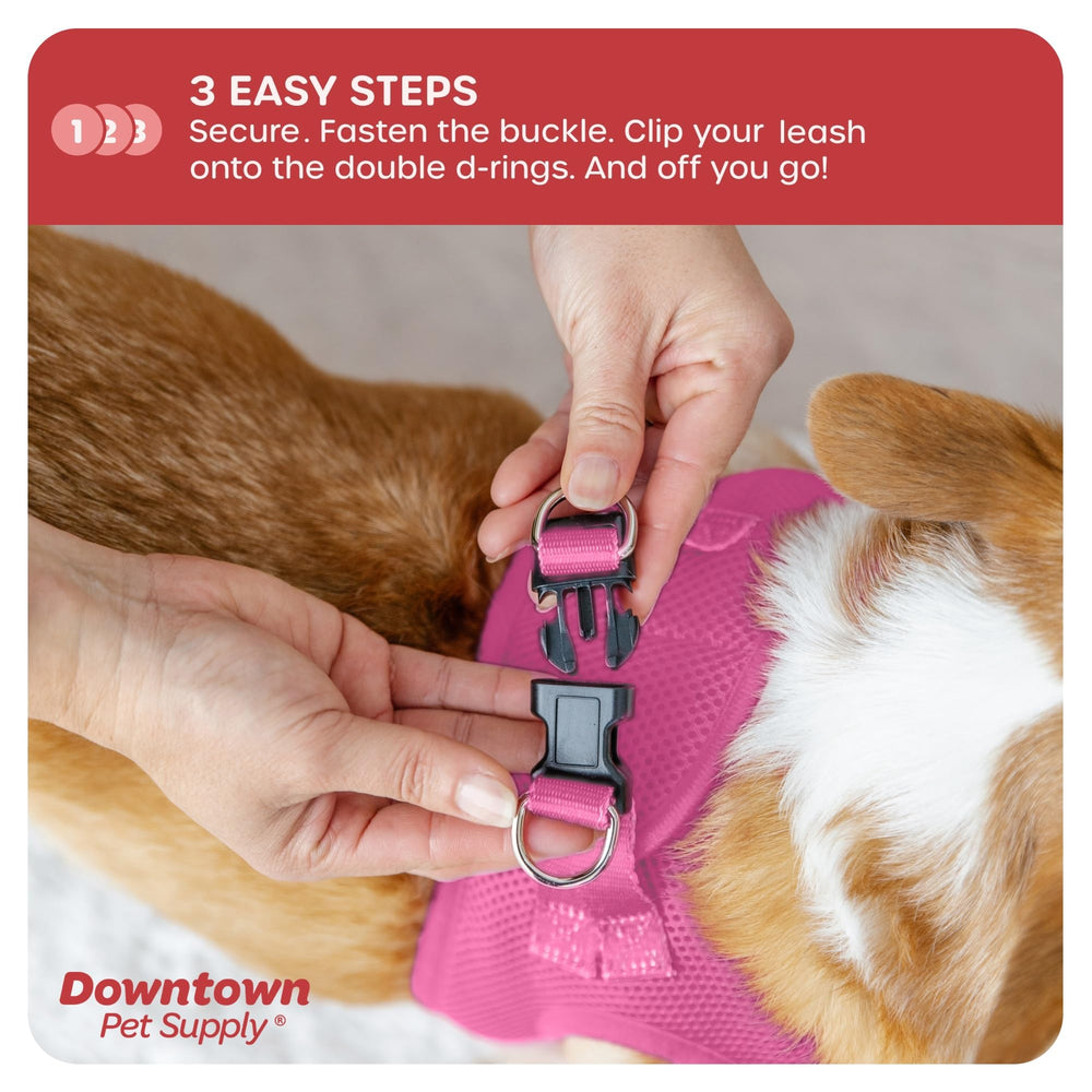 Downtown Pet Supply bande réfléchissante visible pour promenades sûres