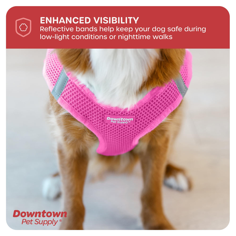 Downtown Pet Supply comparaison taille montrant l’échelle et l’ajustement