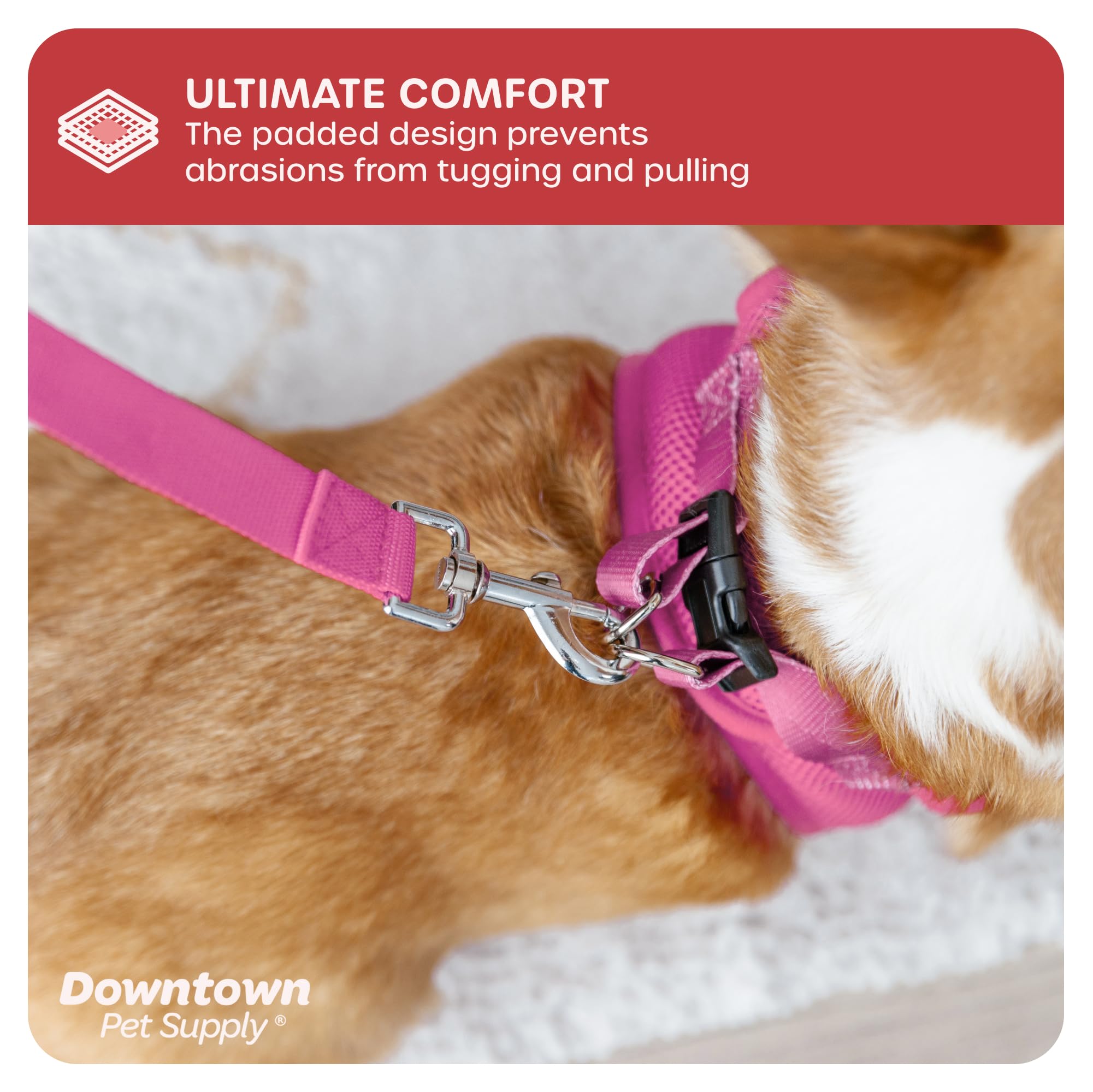 Downtown Pet Supply chien portant le harnais pour confort en promenade