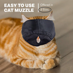 Downtown Pet Supply muselière en usage pendant le toilettage, protection sûre
