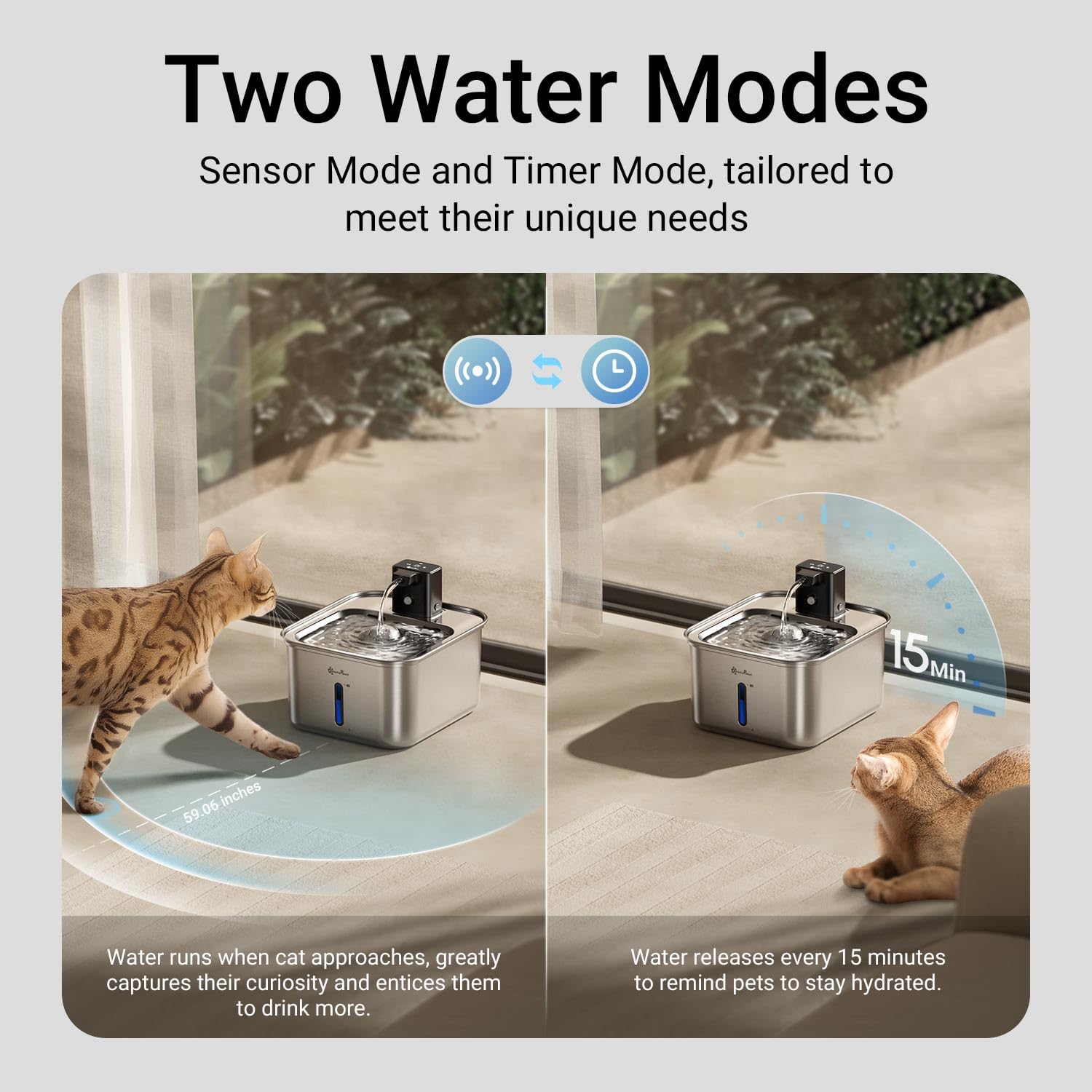 DownyPaws batterie extractible 4000mAh pour autonomie prolongée