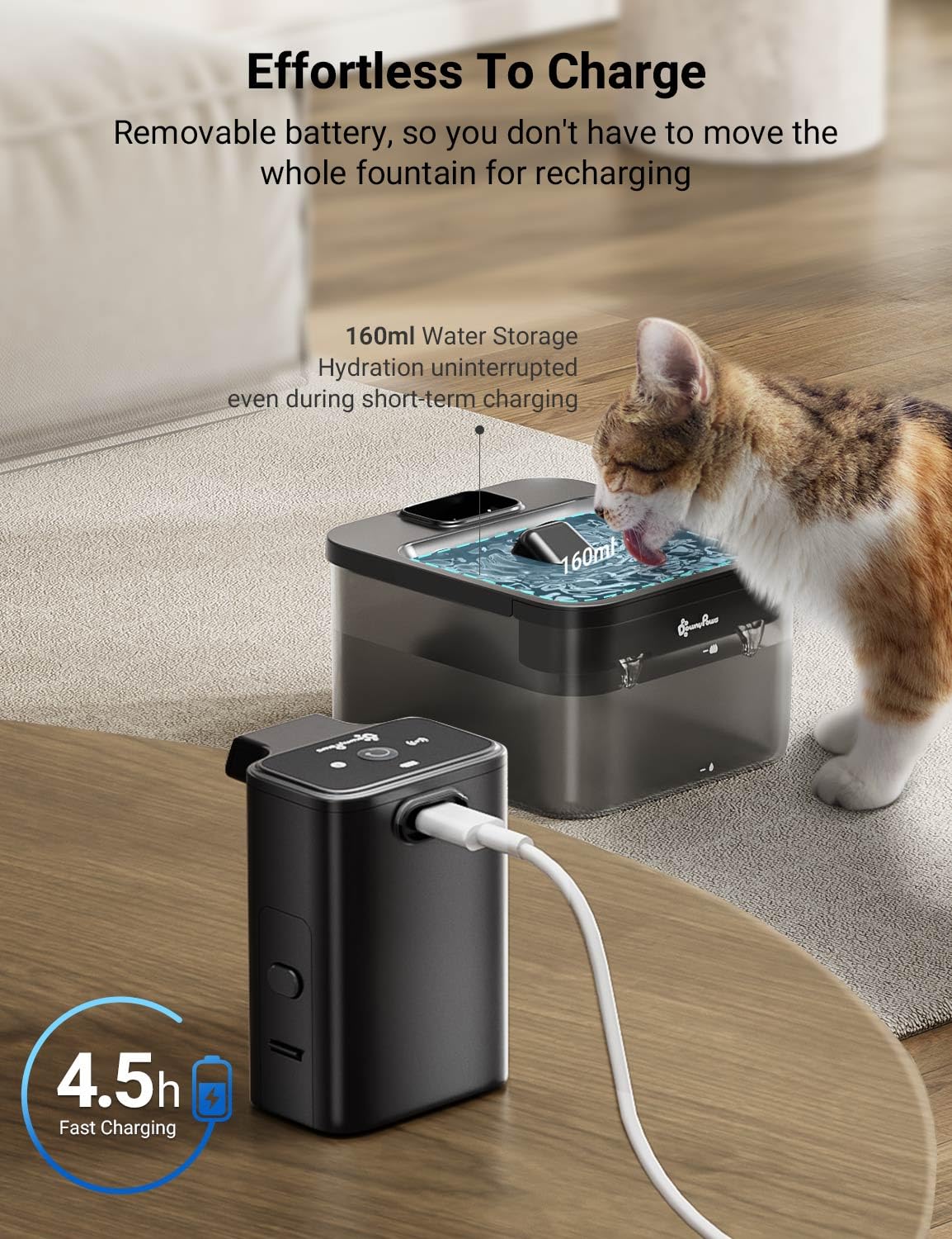 DownyPaws comparaison de taille pour évaluer l'encombrement domestique